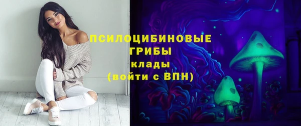 хмурый Арсеньев