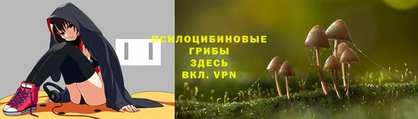 прущие грибы Армянск